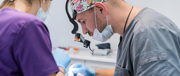 Endoscopic Encephalocele Repair